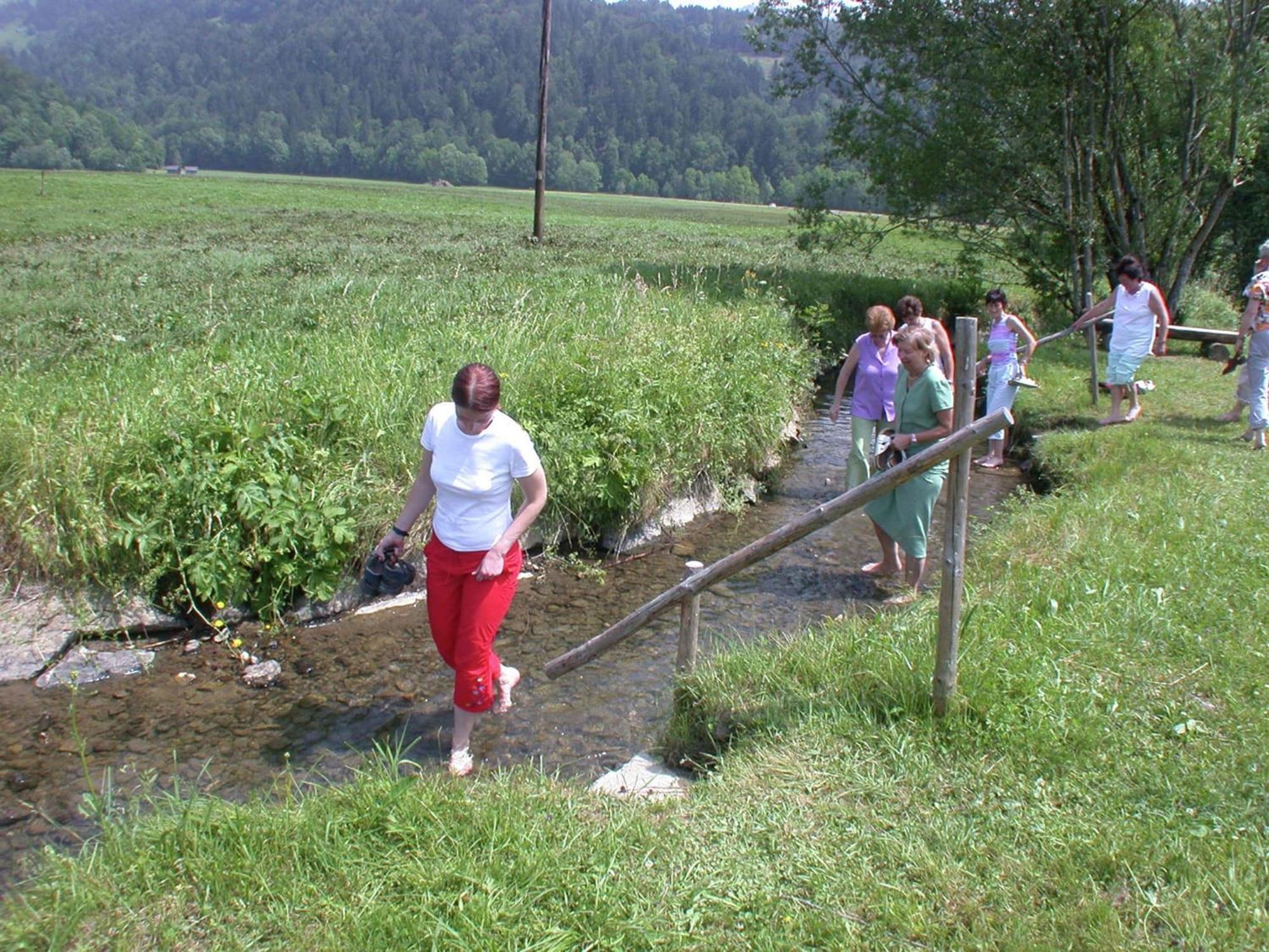 סיבראצגפל Holiday Home In Sibratsgf Ll In The Bregenzerwald מראה חיצוני תמונה